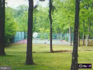 115 3 Bridge Road Shamong, NJ 08088 - Photo 4 of 5