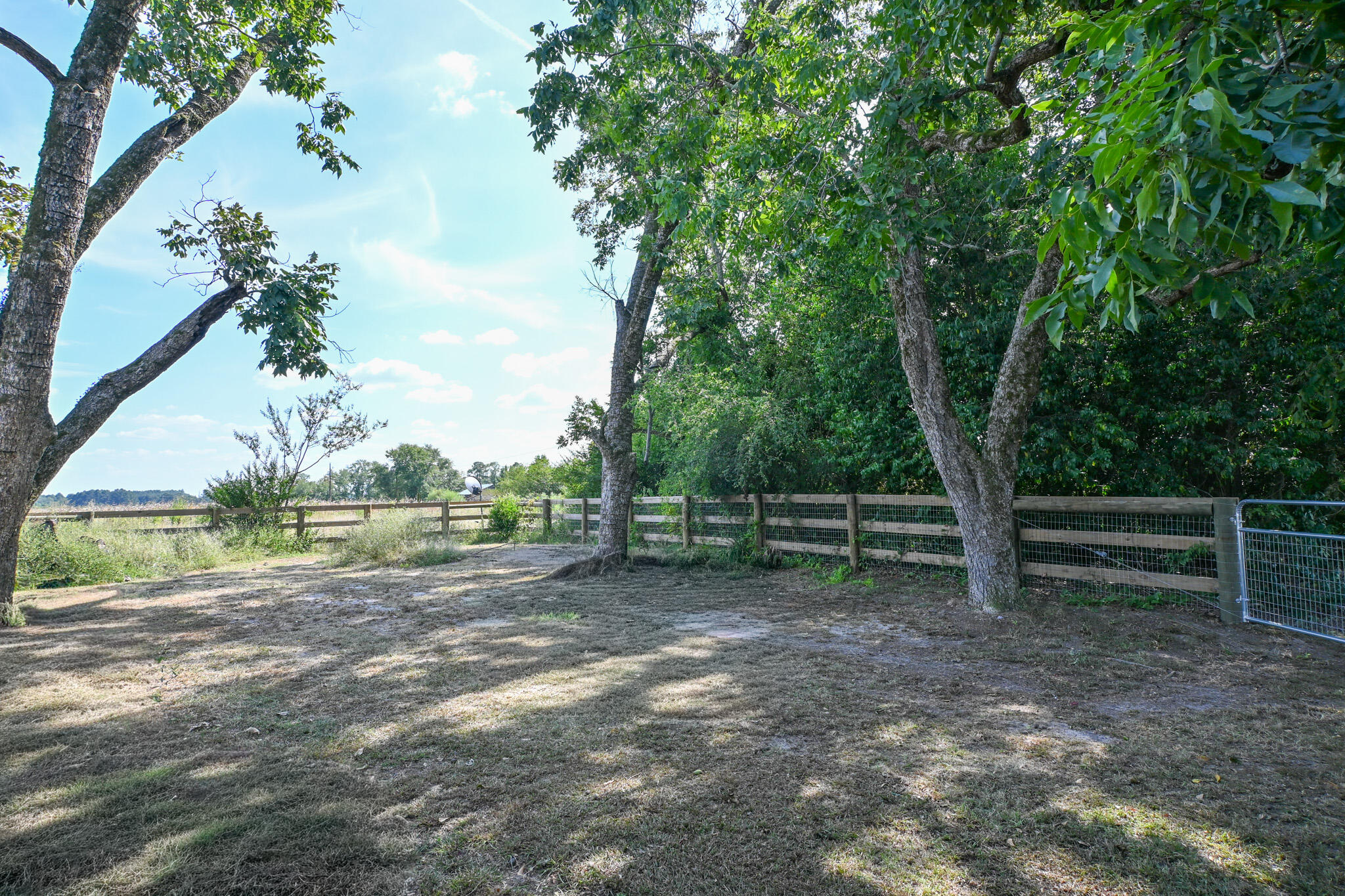 1339 McCreight Road Ridge Spring, SC 29129 - Photo 48 of 62