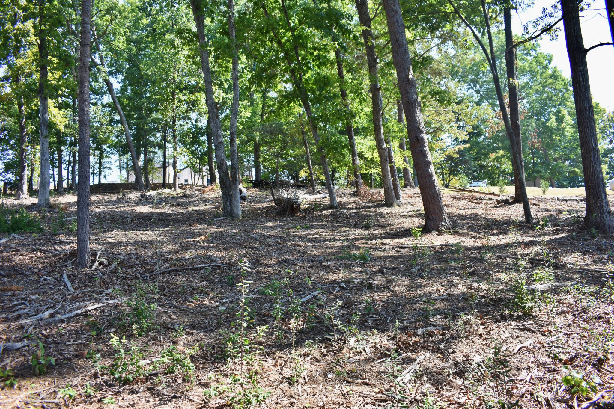 320 Key Cove Road Spring City, TN 37381 - Photo 18 of 35