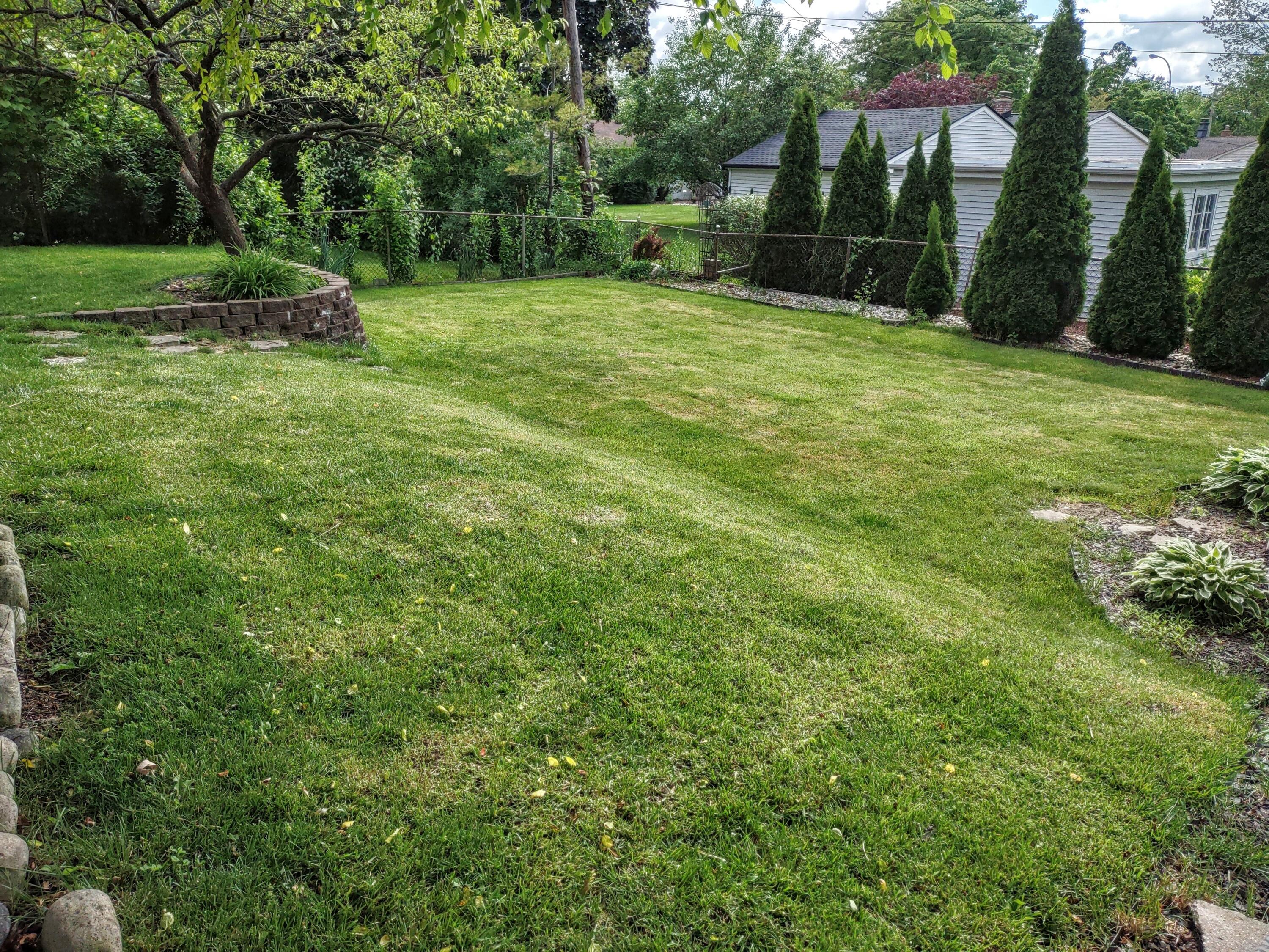 2410 Middlefield Road Trenton, MI 48183 - Photo 41 of 41 Spacious Backyard