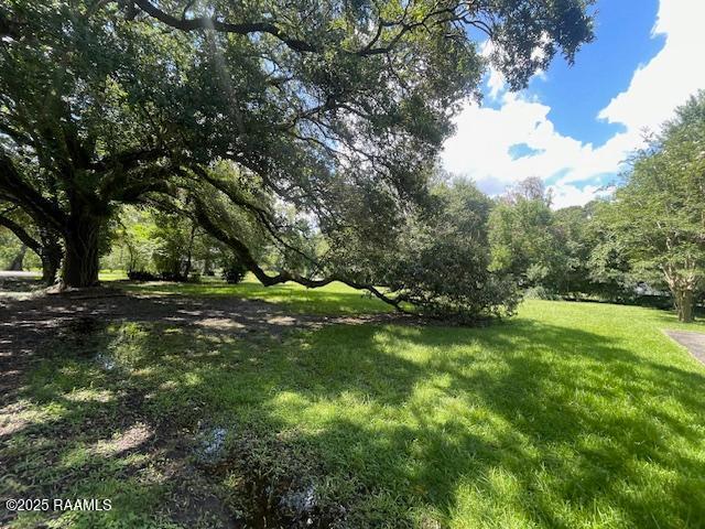 12733 Grosse Isle Road Abbeville, LA 70510 - Photo 4 of 17 thumbnail (99)