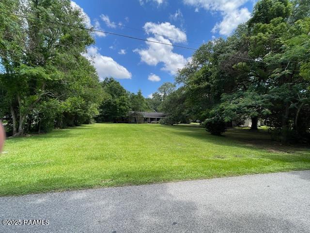 12733 Grosse Isle Road Abbeville, LA 70510 - Photo 8 of 17 thumbnail (59)