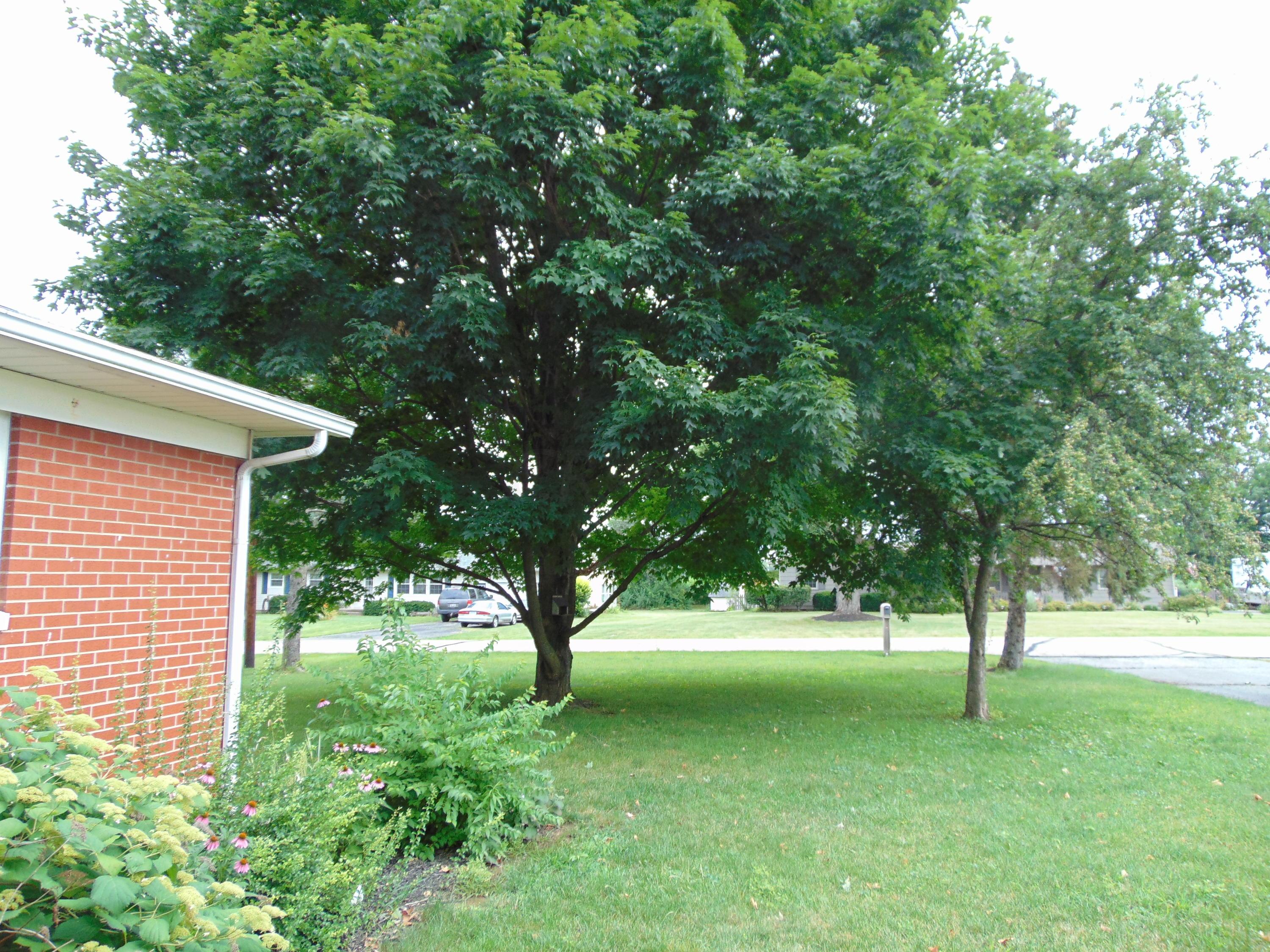 1620 Winding Road Circleville, OH 43113 - Photo 15 of 15