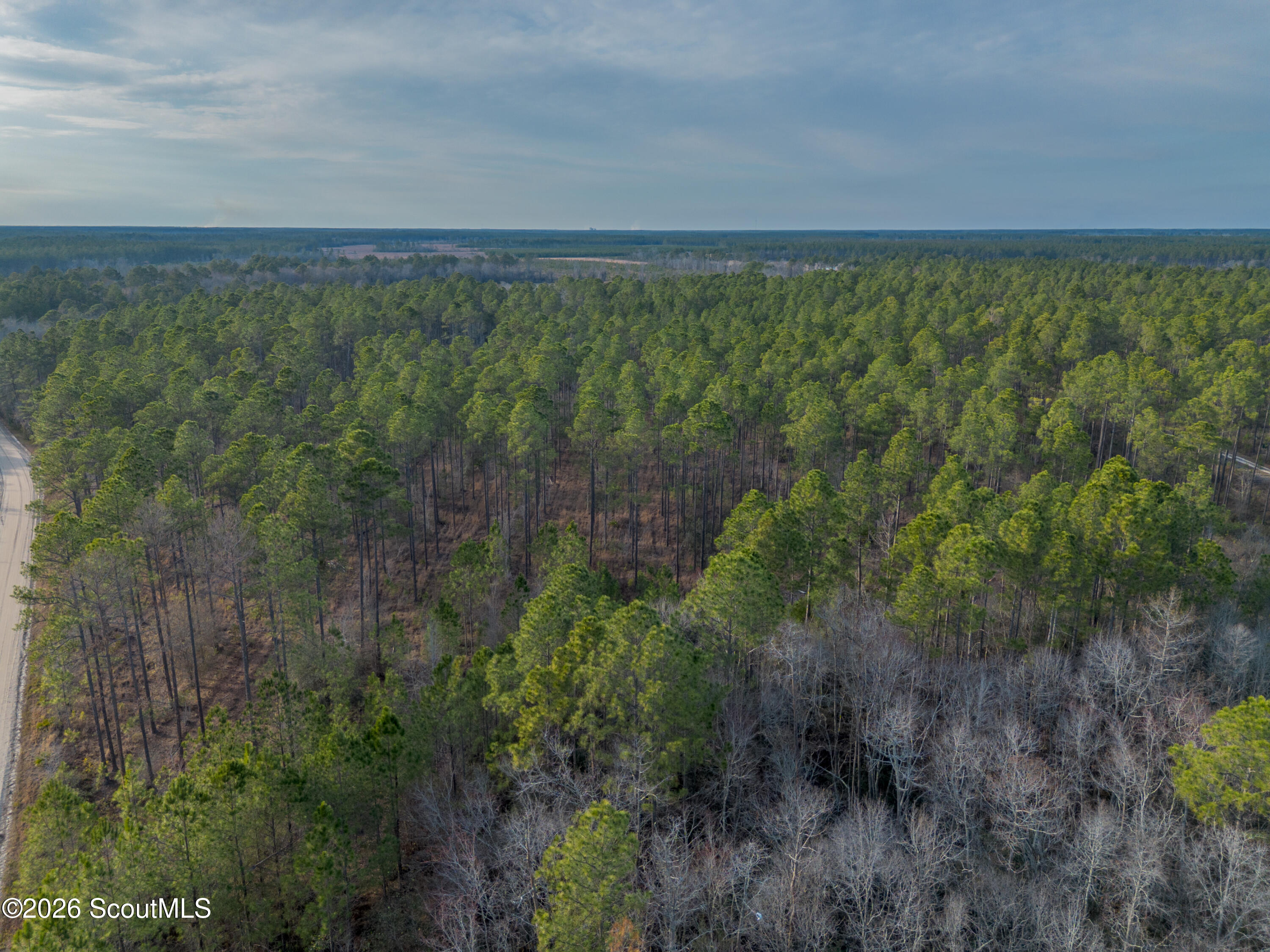 0 Reddish Road Odum, GA 31555 - Photo 15 of 46 230-AC-REDDISH-ODUM-14