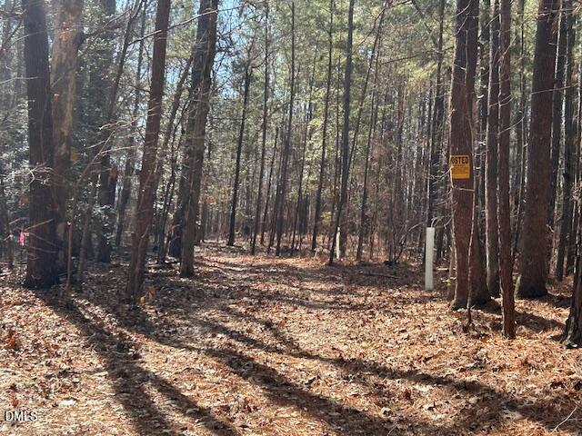 420 John Headen Road Moncure, NC 27559 - Photo 11 of 13 IMG_8332