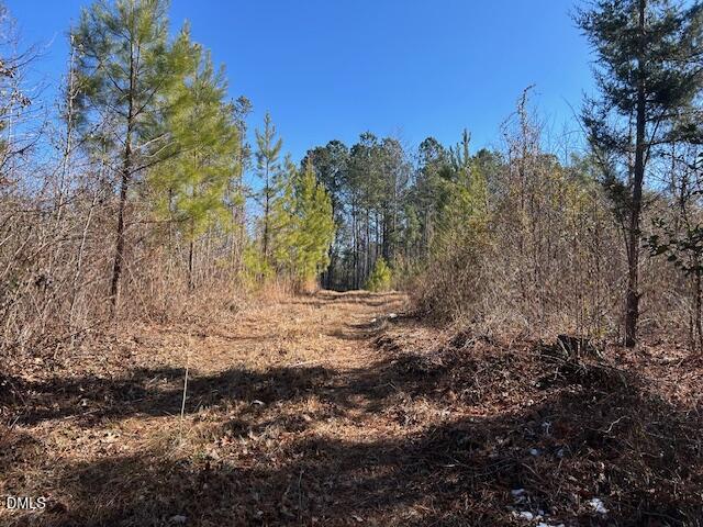 420 John Headen Road Moncure, NC 27559 - Photo 13 of 13 IMG_8310