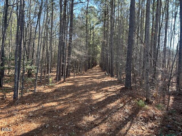 420 John Headen Road Moncure, NC 27559 - Photo 3 of 13 IMG_8315