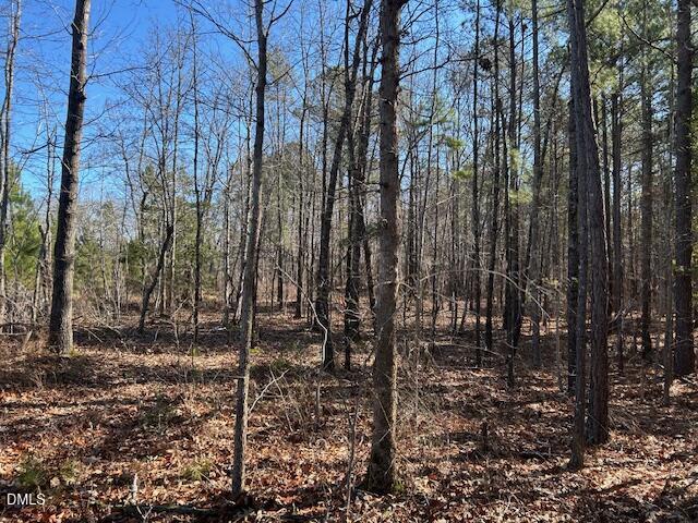 420 John Headen Road Moncure, NC 27559 - Photo 4 of 13 IMG_8320