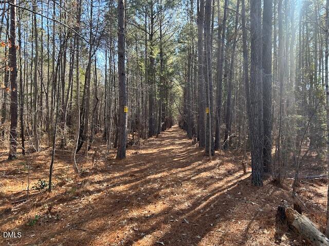 420 John Headen Road Moncure, NC 27559 - Photo 5 of 13 IMG_8317