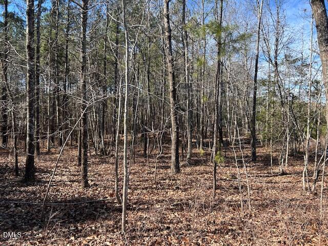 420 John Headen Road Moncure, NC 27559 - Photo 6 of 13 IMG_8324