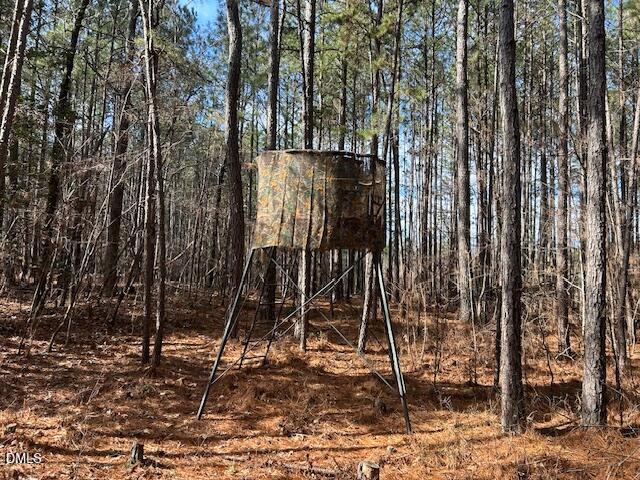 420 John Headen Road Moncure, NC 27559 - Photo 10 of 13 IMG_8333