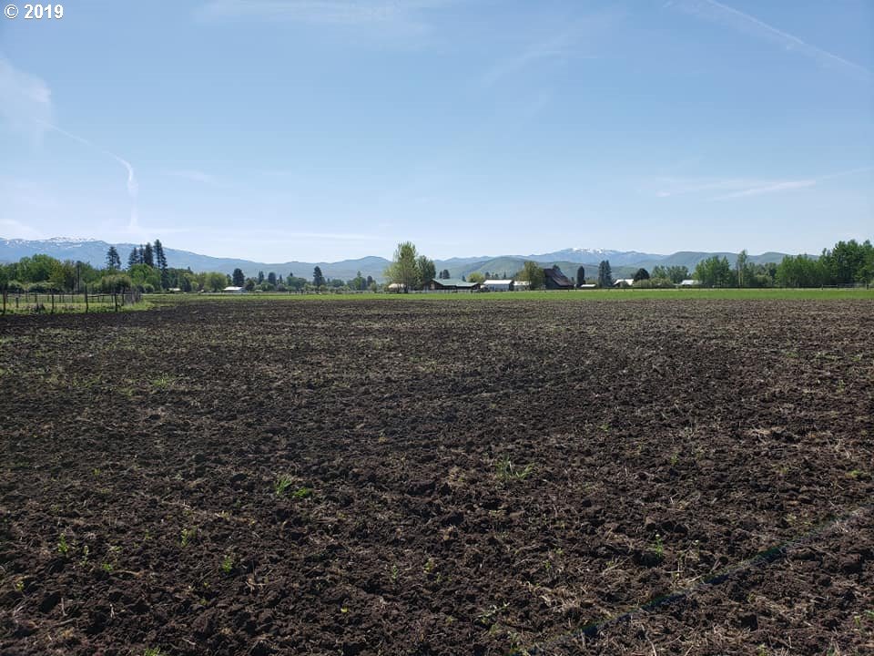 46720 Fish Lake Road Halfway, OR 97834 - Photo 3 of 21 Gallery Image 3