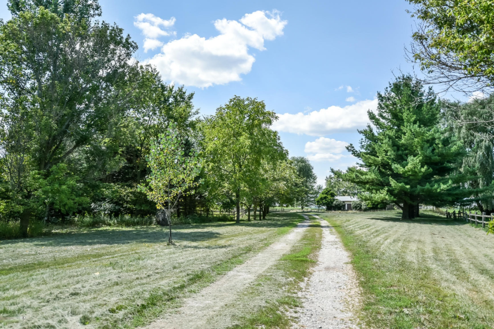 10700 South Wright Road Eagle, MI 48822 - Photo 2 of 64 Driveway