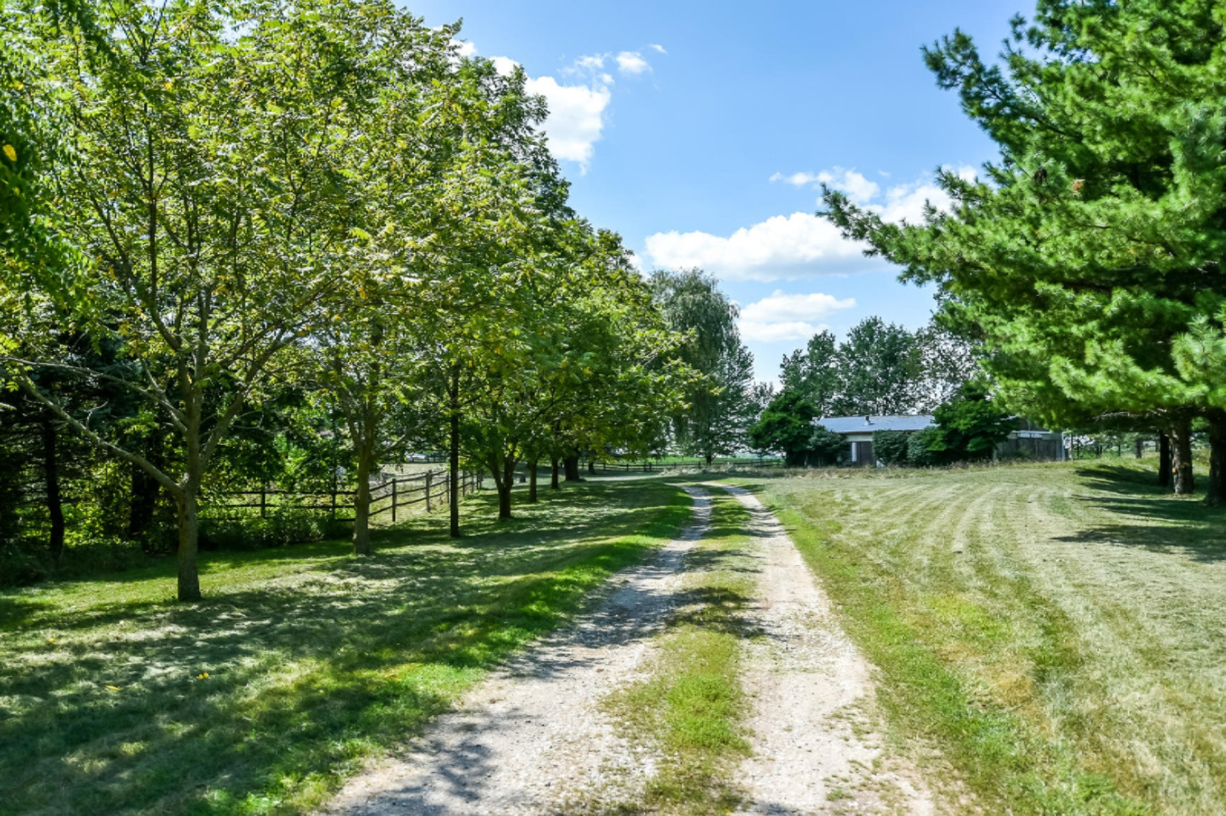 10700 South Wright Road Eagle, MI 48822 - Photo 3 of 64 Driveway