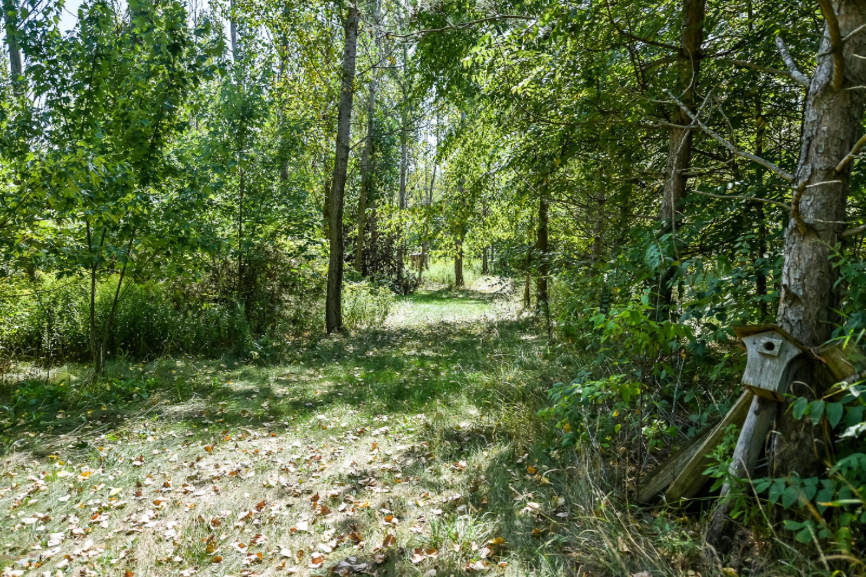 10700 South Wright Road Eagle, MI 48822 - Photo 64 of 64 DSC_2340