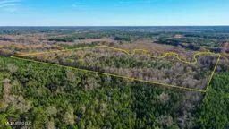 $249,000 | 43 Ms, Canton, MS 39046