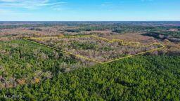 43 Ms Canton, MS 39046 - Photo 6 of 10 ViUm0b1c