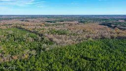 $249,000 | 43 Ms, Canton, MS 39046