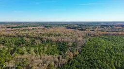 $249,000 | 43 Ms, Canton, MS 39046