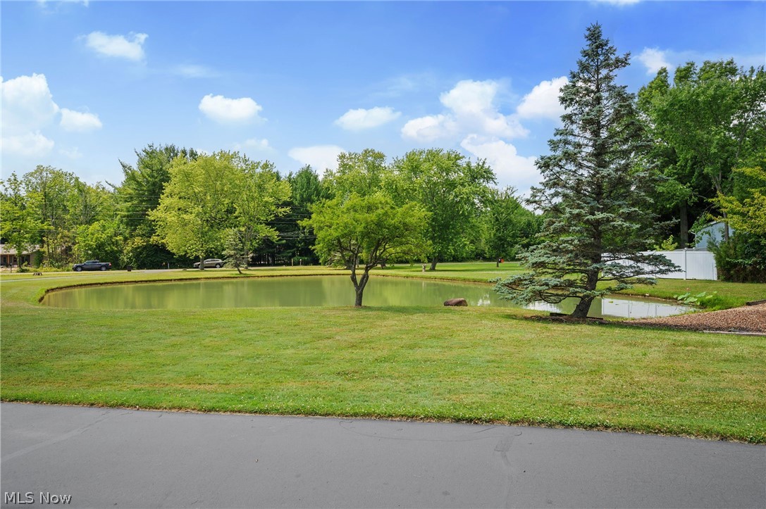 2815 Vandemark Road Litchfield, OH 44253 - Photo 43 of 49