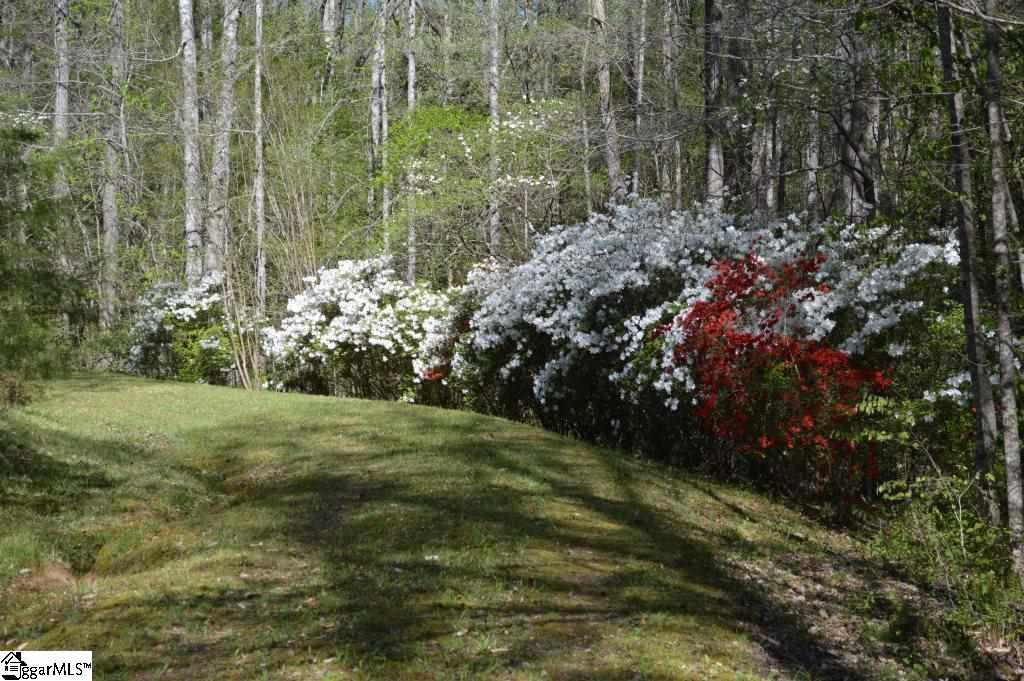 127 Shipman Road Marietta, SC 29661 - Photo 2 of 23