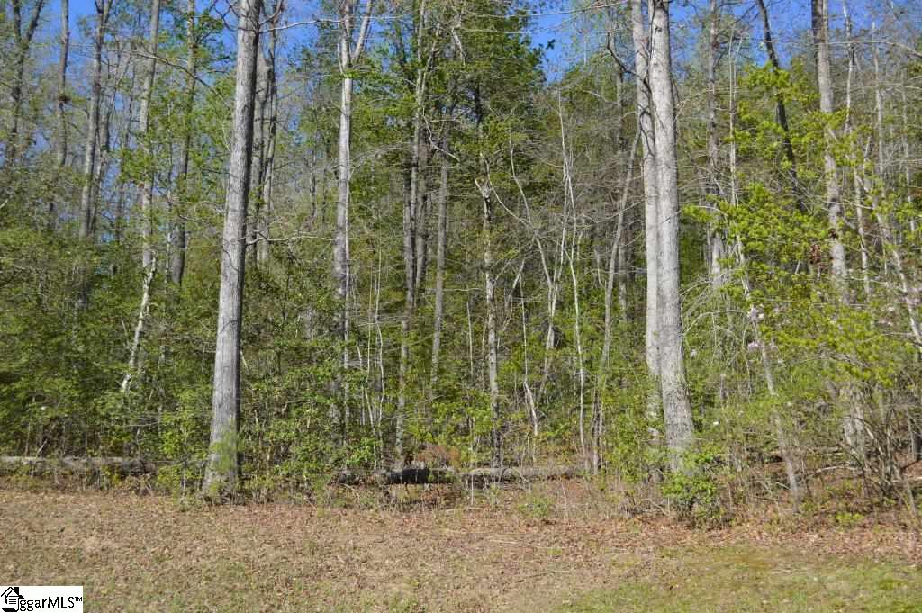 127 Shipman Road Marietta, SC 29661 - Photo 12 of 23