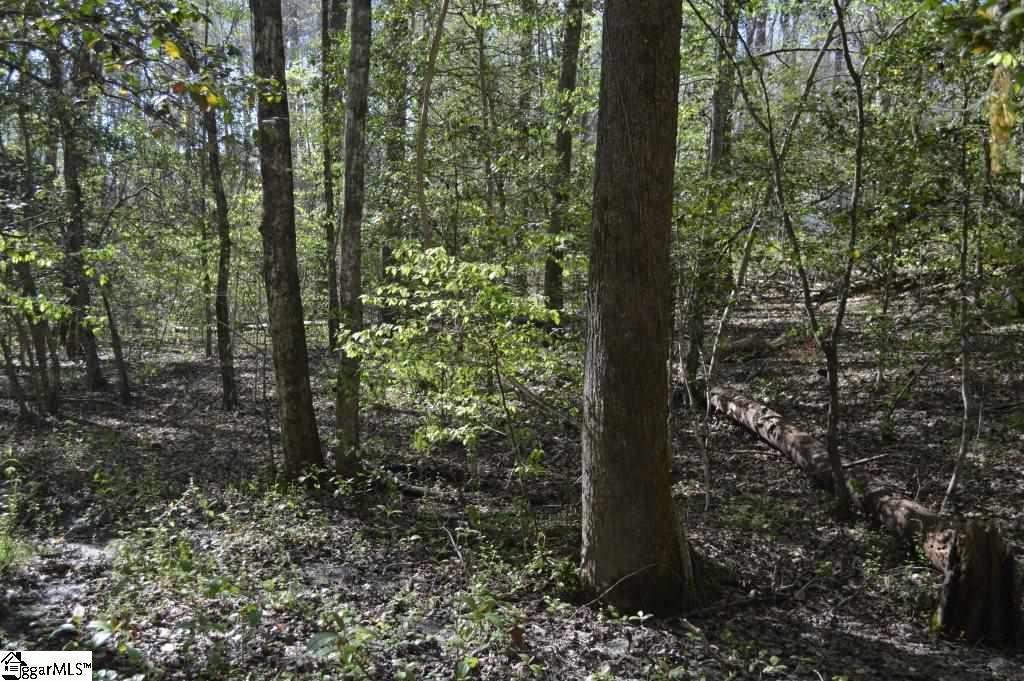 127 Shipman Road Marietta, SC 29661 - Photo 14 of 23