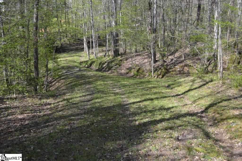 127 Shipman Road Marietta, SC 29661 - Photo 3 of 23
