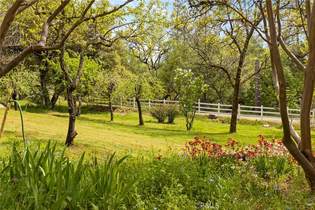 749 Hurleton Road Oroville, CA 95966 - Photo 43 of 58 Spring