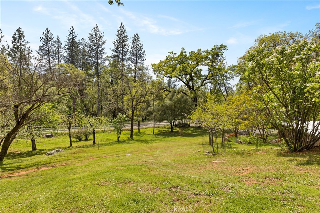 749 Hurleton Road Oroville, CA 95966 - Photo 47 of 58 Spring