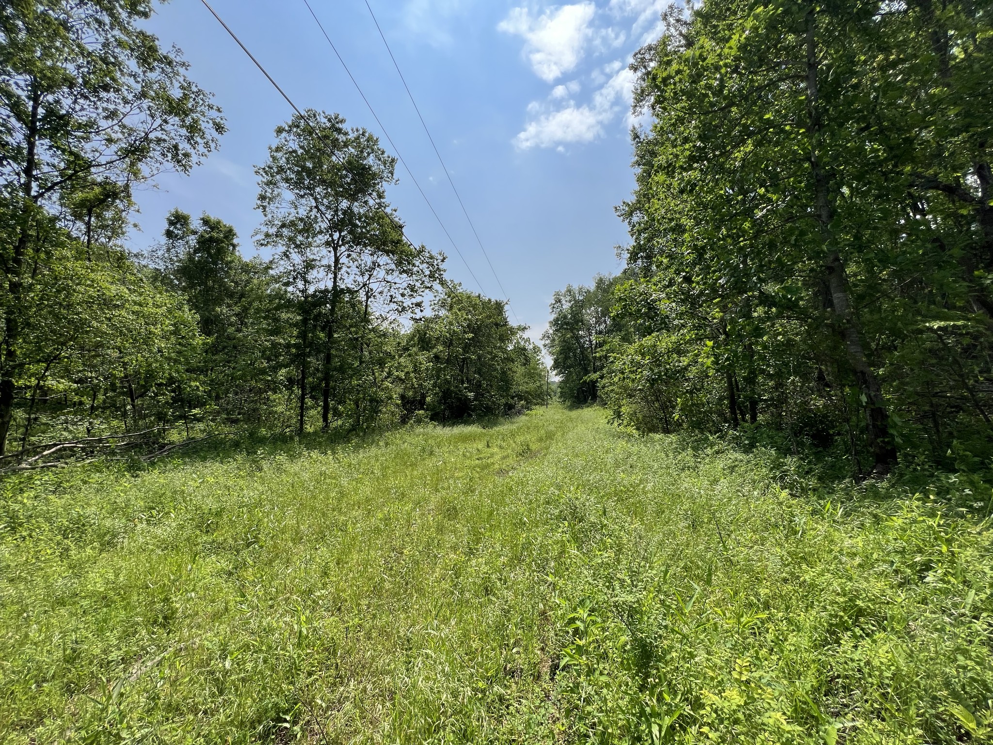 10119 Ed Lyell Road Lyles, TN 37098 - Photo 20 of 55 a view of a garden