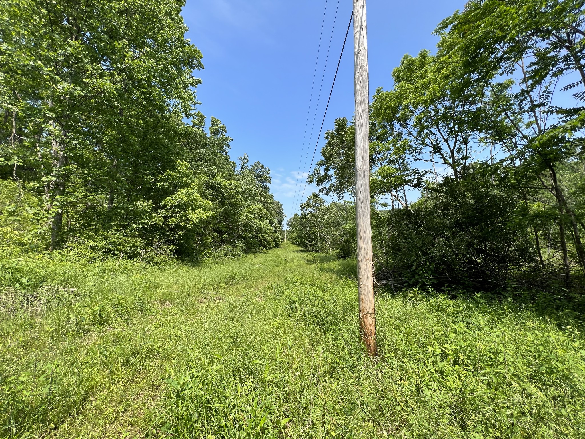 10119 Ed Lyell Road Lyles, TN 37098 - Photo 23 of 55 a view of a yard