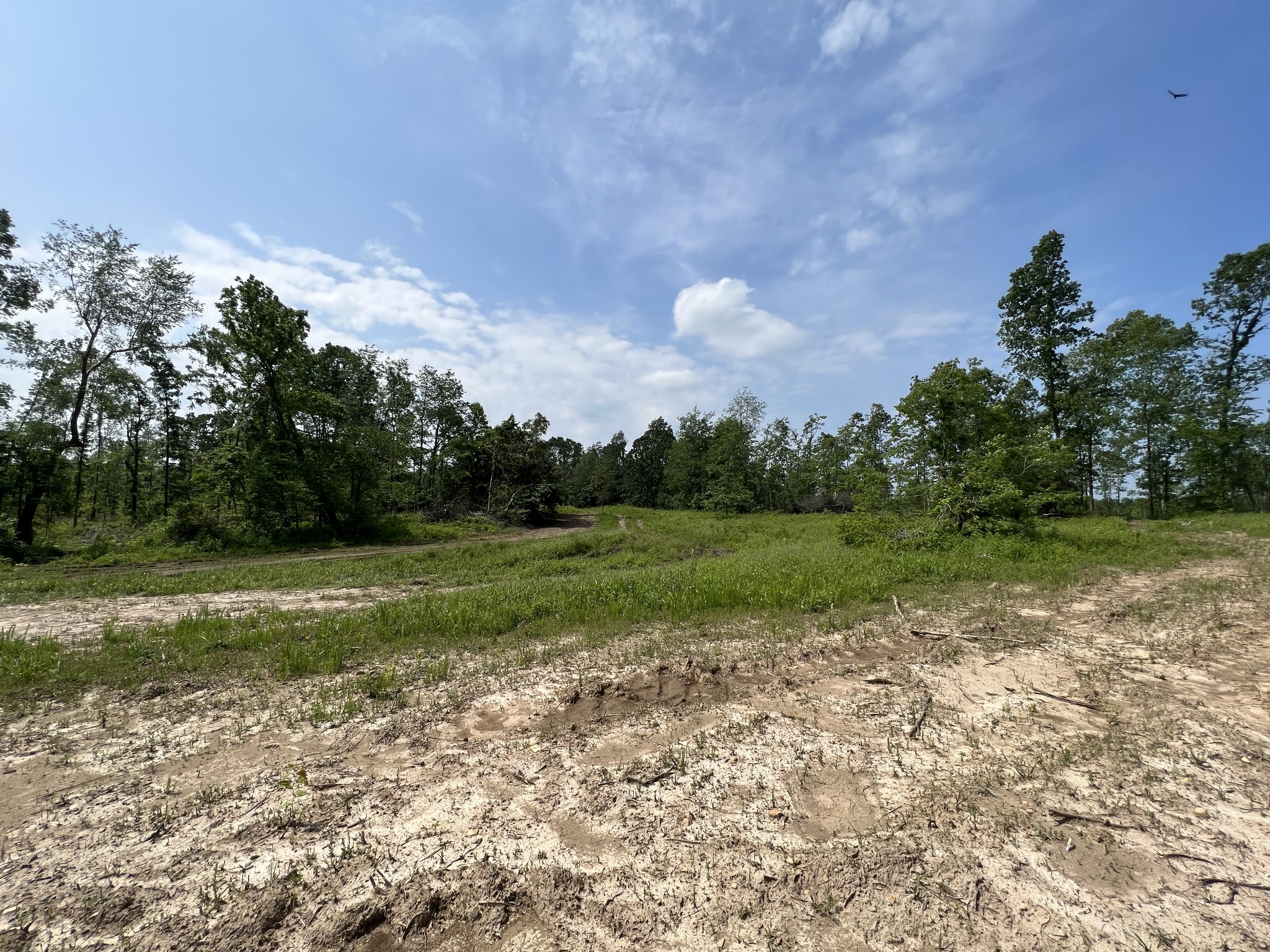 10119 Ed Lyell Road Lyles, TN 37098 - Photo 31 of 55 a view of a field with trees in the background