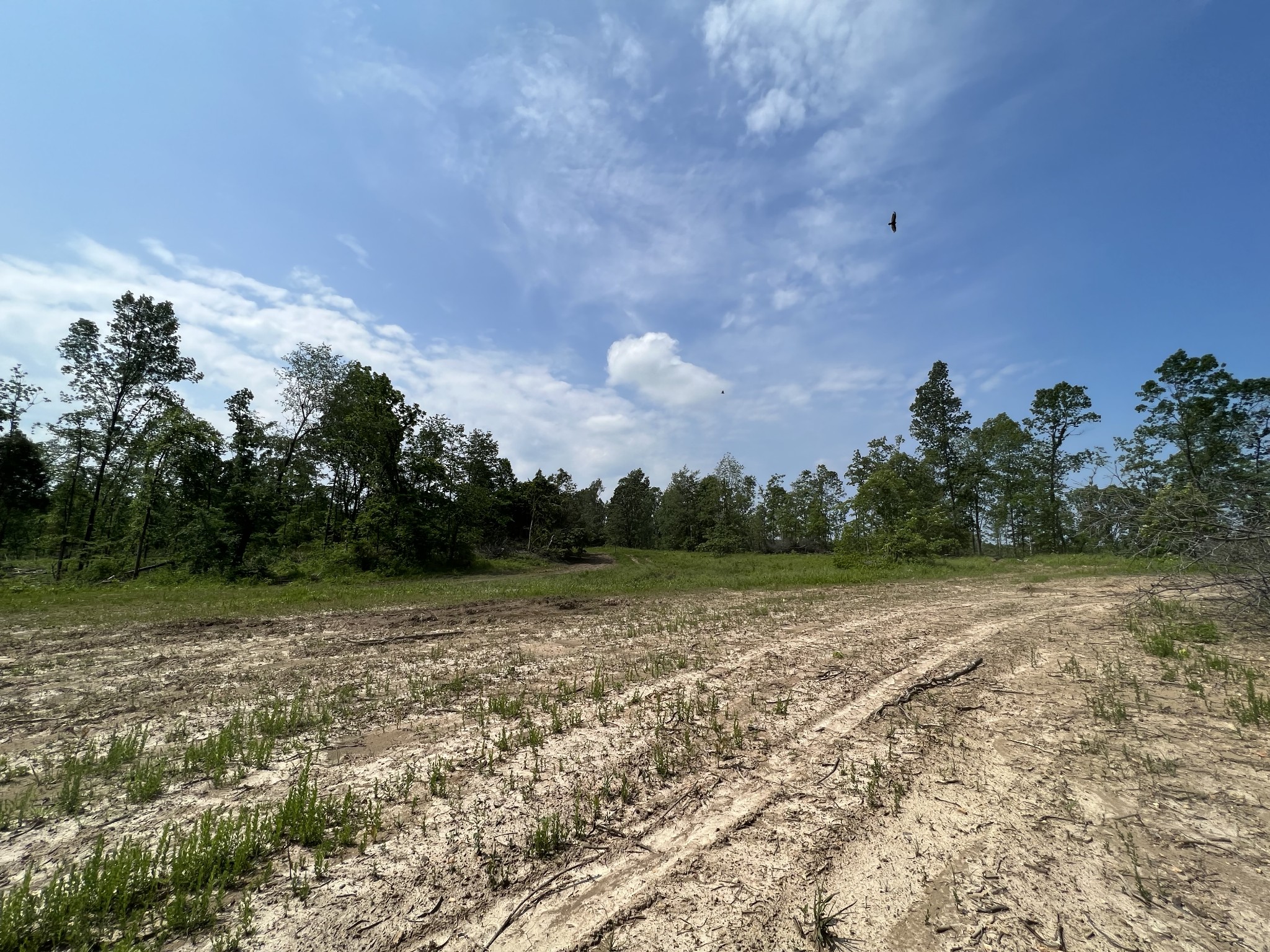 10119 Ed Lyell Road Lyles, TN 37098 - Photo 33 of 55 a view of a field with trees in the background