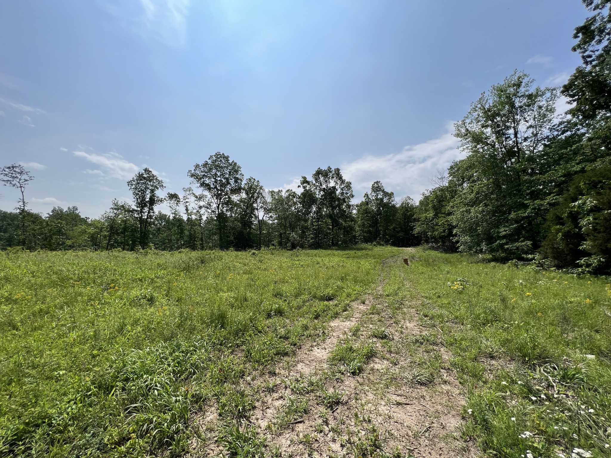 10119 Ed Lyell Road Lyles, TN 37098 - Photo 34 of 55