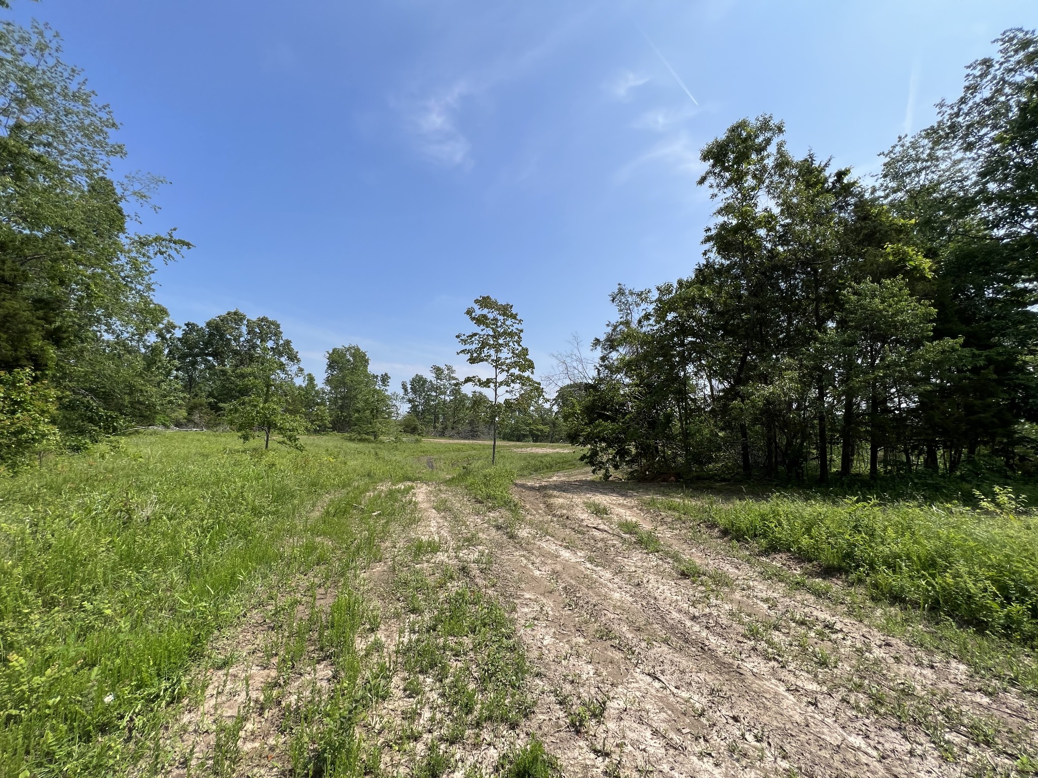 10119 Ed Lyell Road Lyles, TN 37098 - Photo 35 of 55 a view of a field with trees in the background