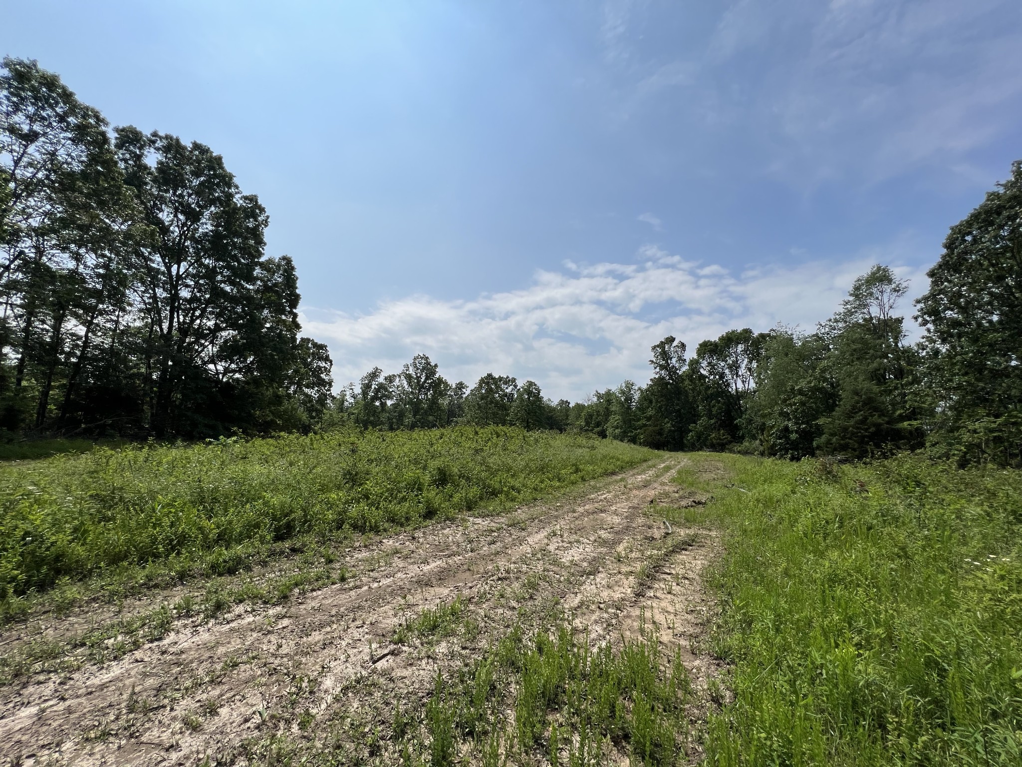 10119 Ed Lyell Road Lyles, TN 37098 - Photo 36 of 55 a view of a field with trees in the background