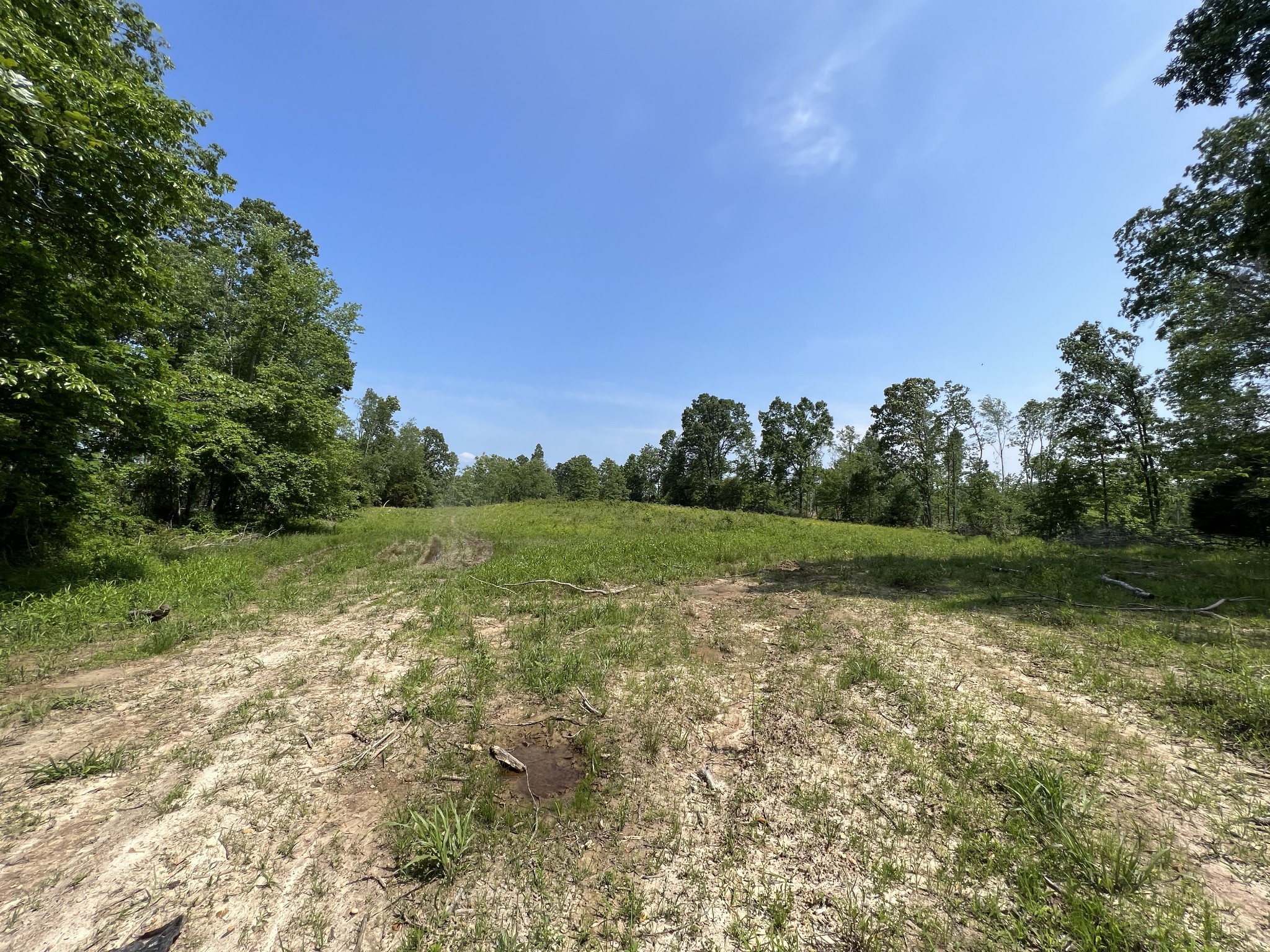 10119 Ed Lyell Road Lyles, TN 37098 - Photo 39 of 55 a view of a field with clear sky