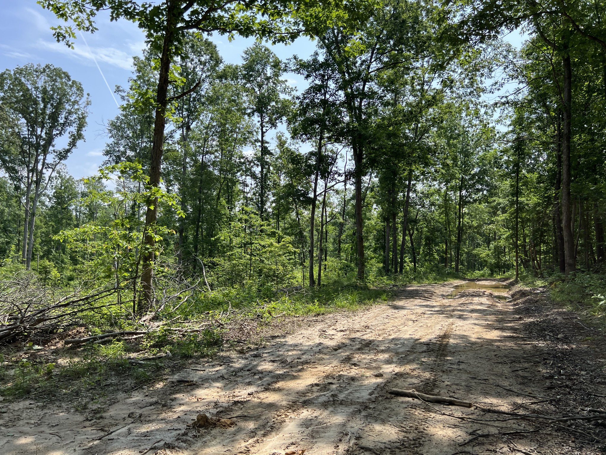 10119 Ed Lyell Road Lyles, TN 37098 - Photo 42 of 55 a view of outdoor space with trees