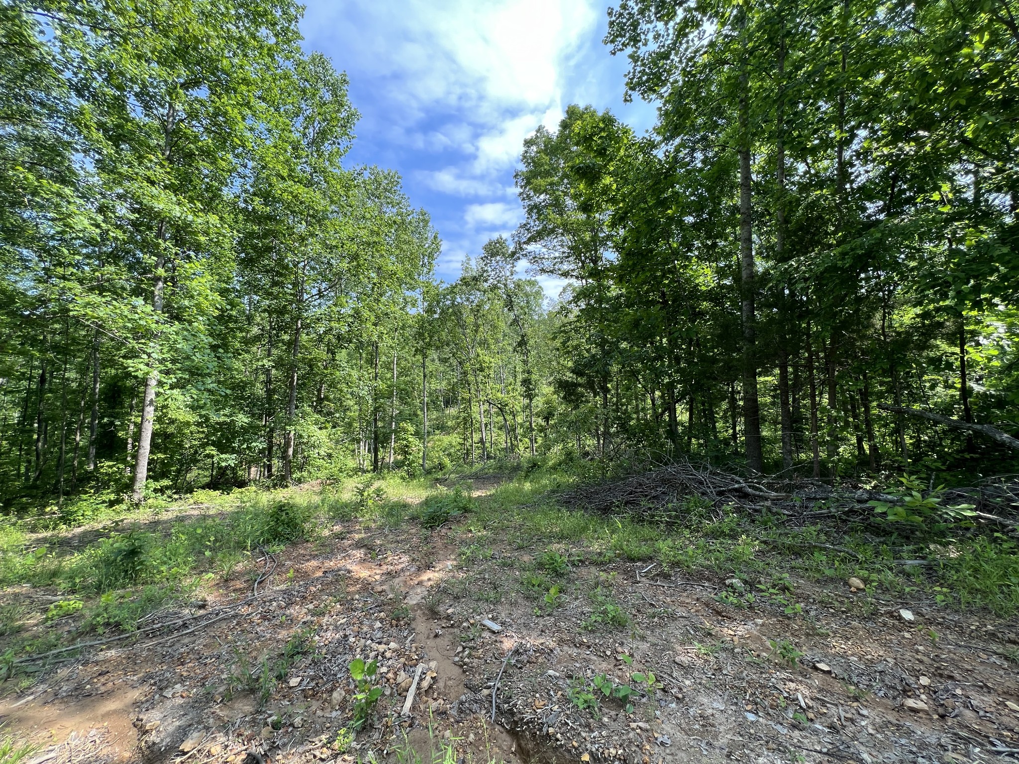 10119 Ed Lyell Road Lyles, TN 37098 - Photo 50 of 55 a big yard with lots of green space and house