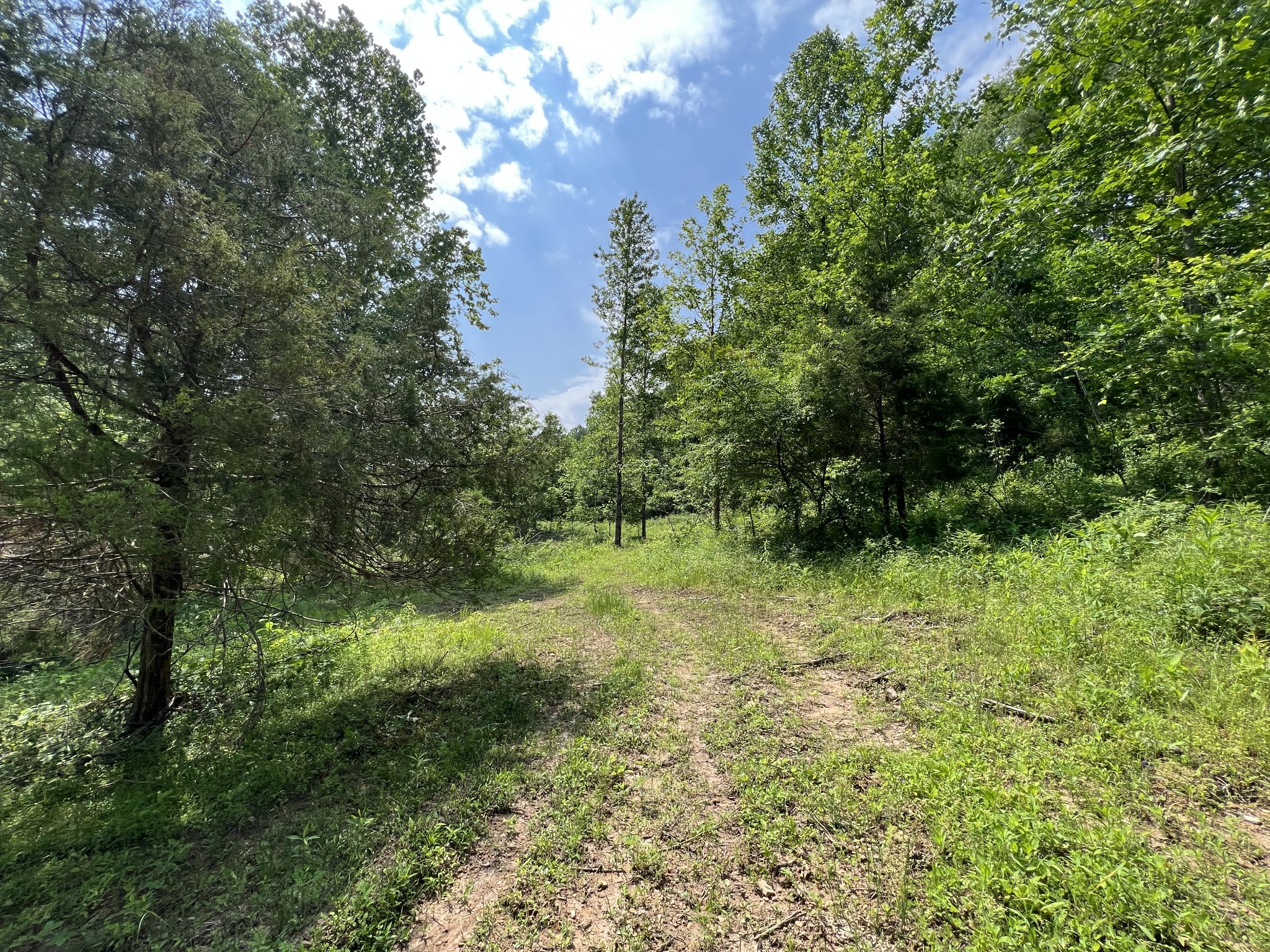 10119 Ed Lyell Road Lyles, TN 37098 - Photo 10 of 55 a view of outdoor space and yard