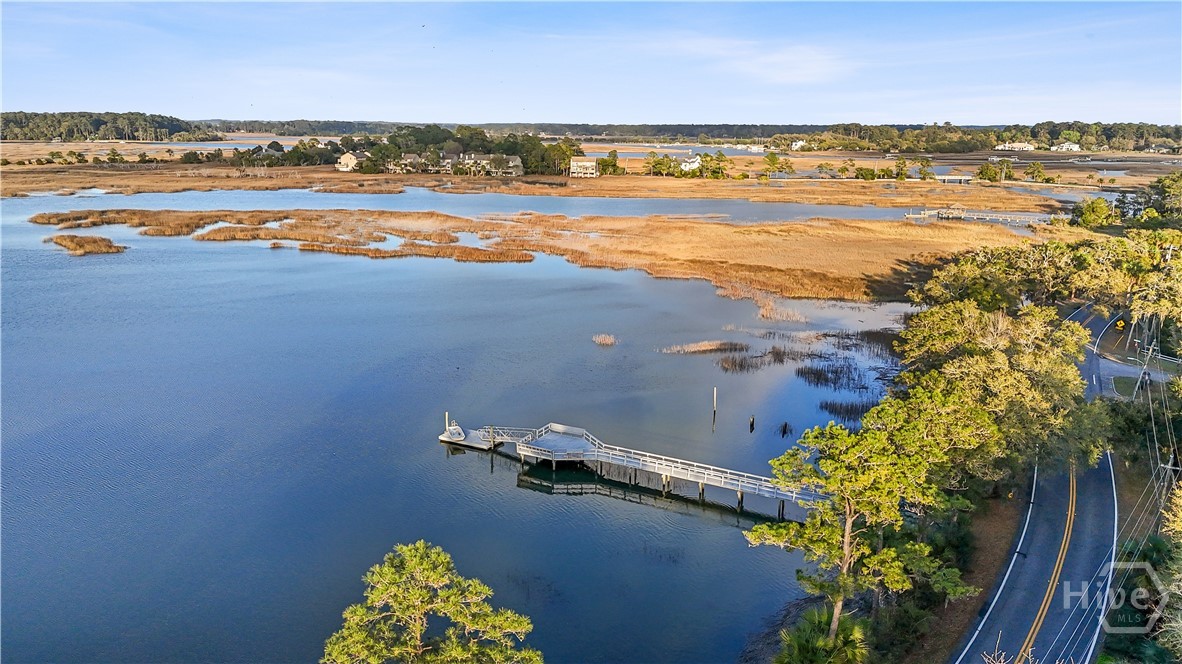 8 Chestley Place Savannah, GA 31406 - Photo 39 of 64 Community dock aerial