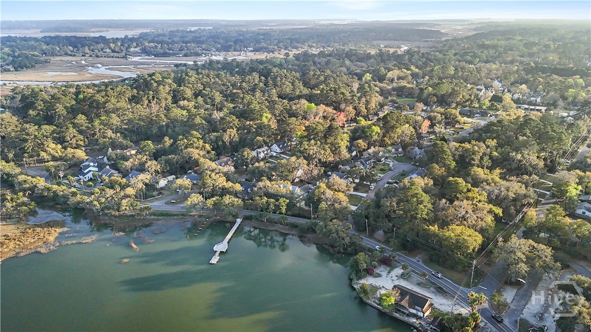8 Chestley Place Savannah, GA 31406 - Photo 57 of 64 Aerial above dock looking back at isle of hope area