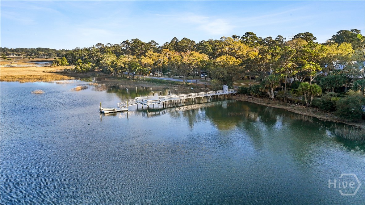 8 Chestley Place Savannah, GA 31406 - Photo 61 of 64 Community dock