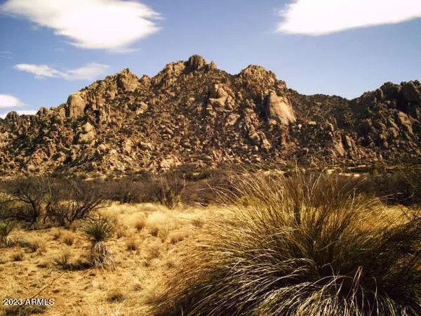 $2,895,000 | 18 East Heron Place, St. David, AZ 85630