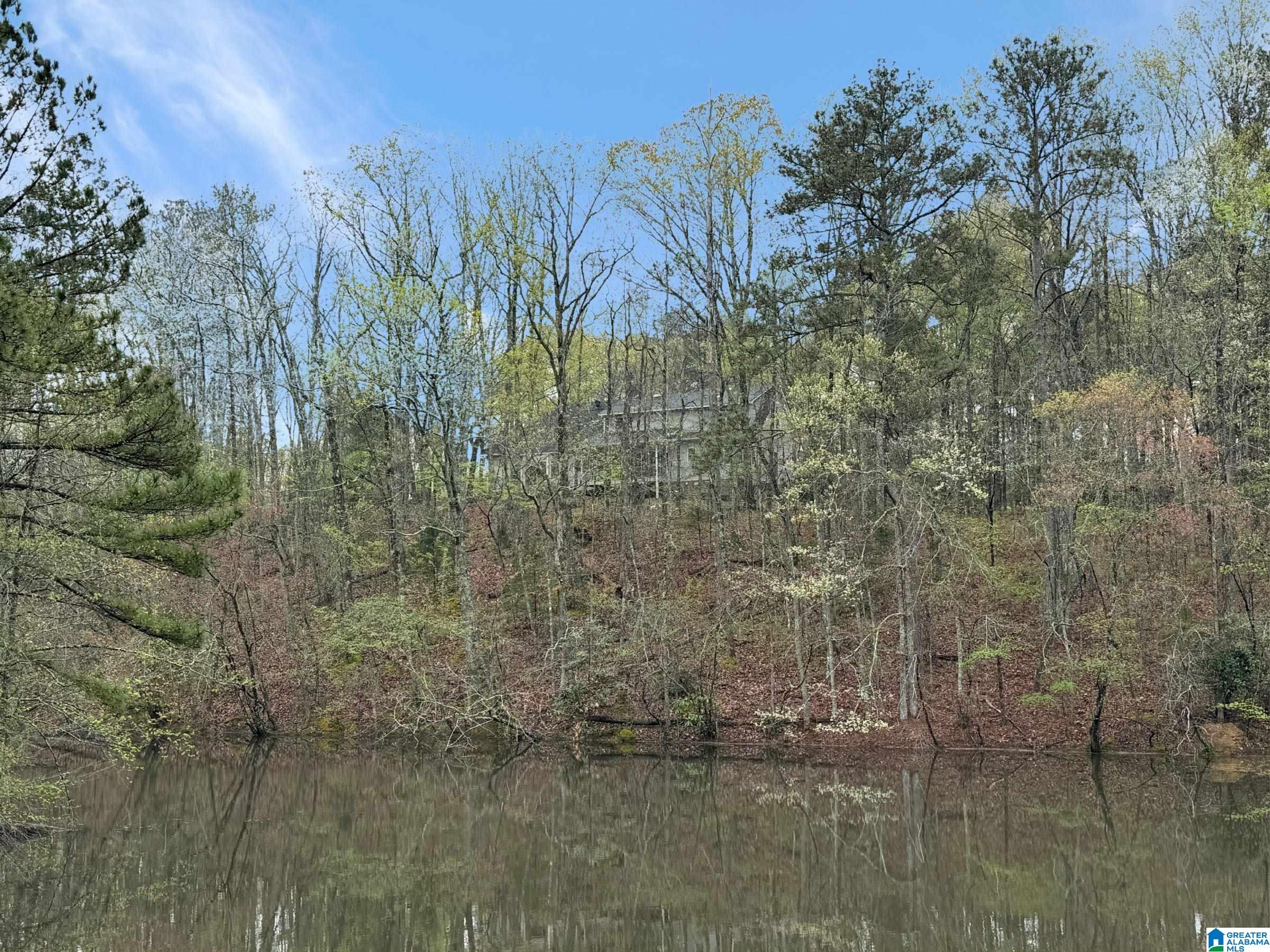 111 Redbud Road Columbiana, AL 35051 - Photo 2 of 49