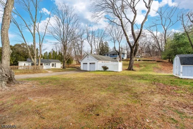 a view of road with large trees