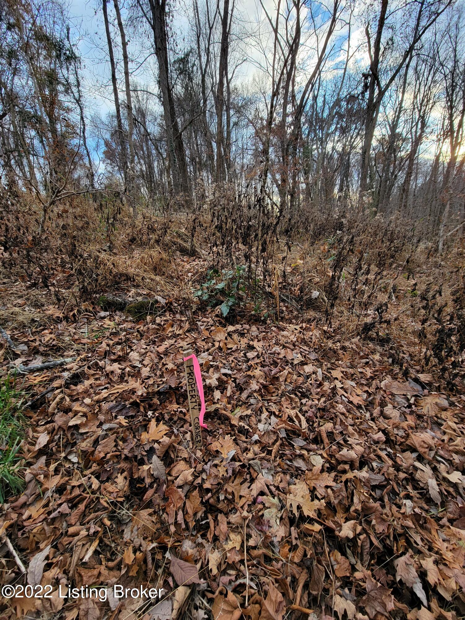 8010 Wolf Pen Branch Road Prospect, KY 40059 - Photo 26 of 34 Southeast corner of property marked. Buyer to verify.
