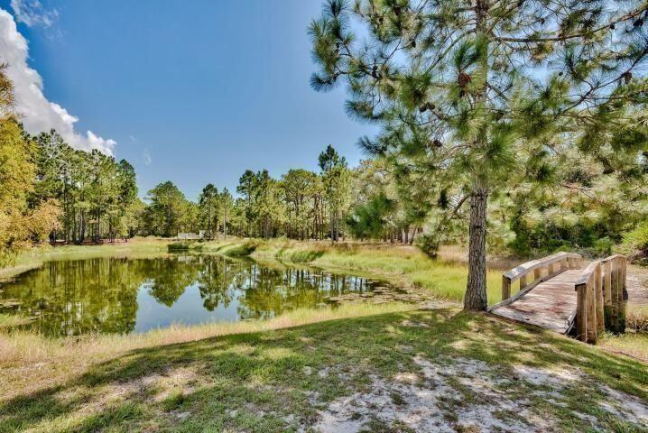 209 Vía Largo Santa Rosa Beach, FL 32459 - Photo 54 of 60 Pond Front