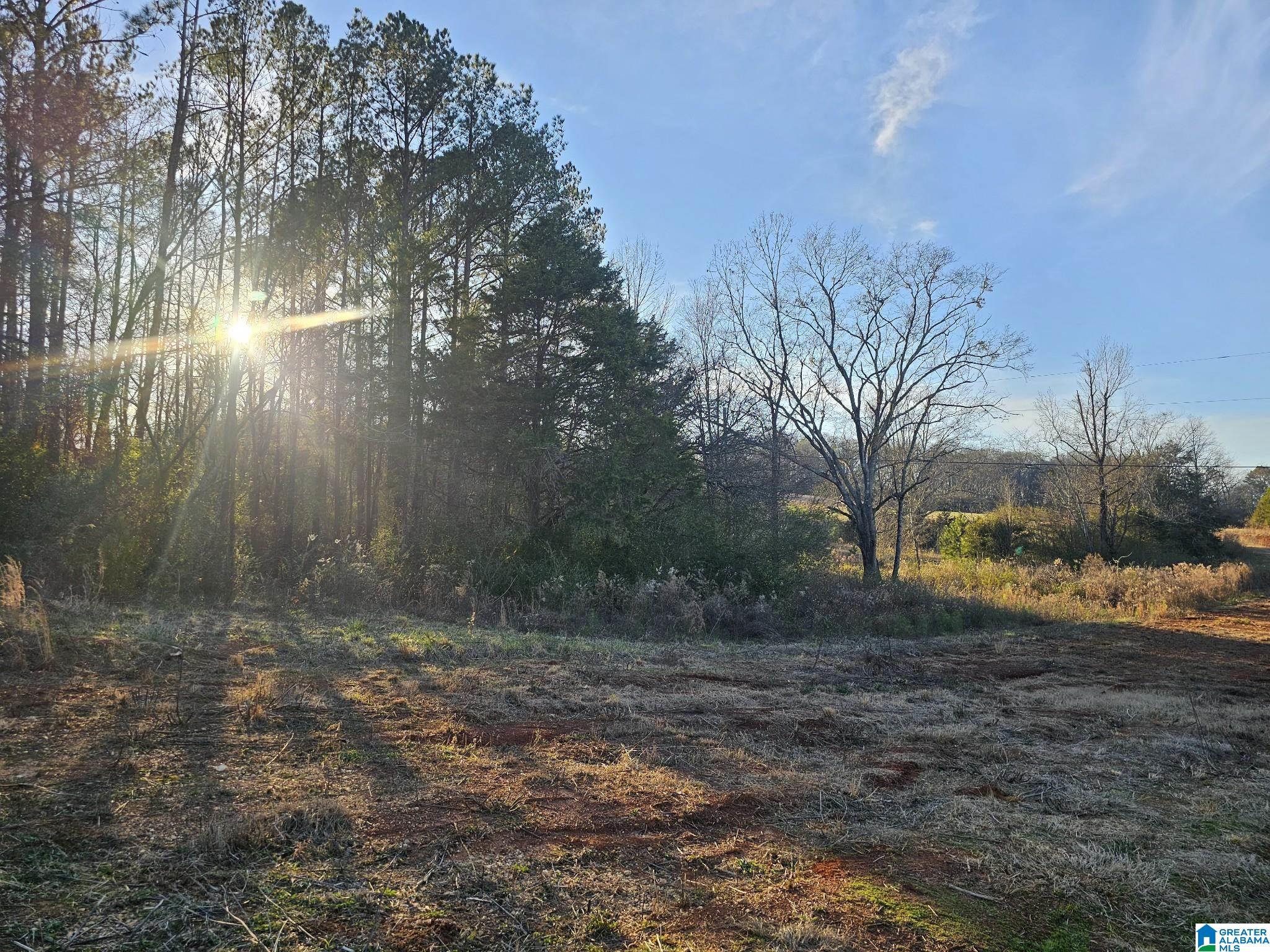 0 Peaceful Valley Road Eastaboga, AL 36260 - Photo 8 of 15